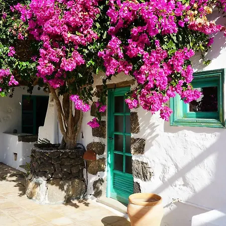 Casa Lisboa, Auf Der Mimosa